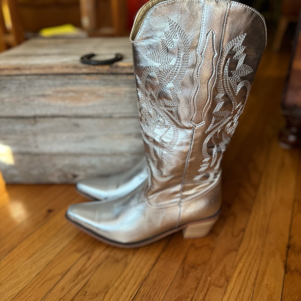 Silver Boots - Picture 5 of 8